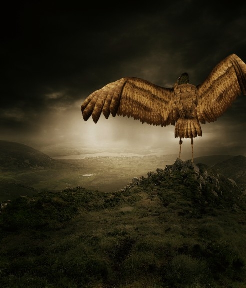 Creation of The Bird: Step 10